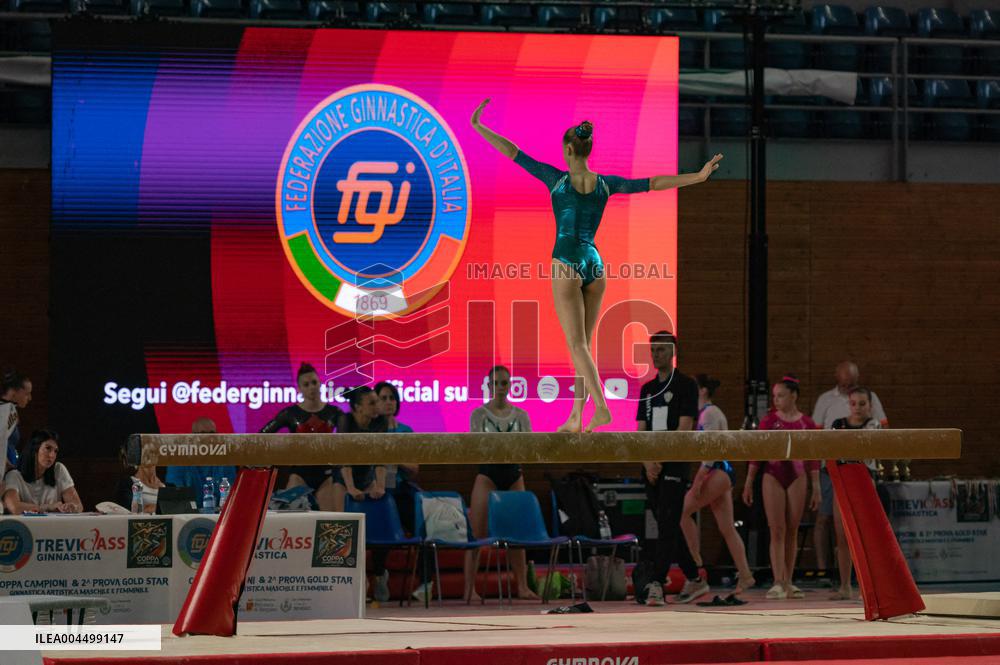 ALTRO - Ginnastica - Coppa Campioni - Ginnastica Artistica Maschile e Femminile