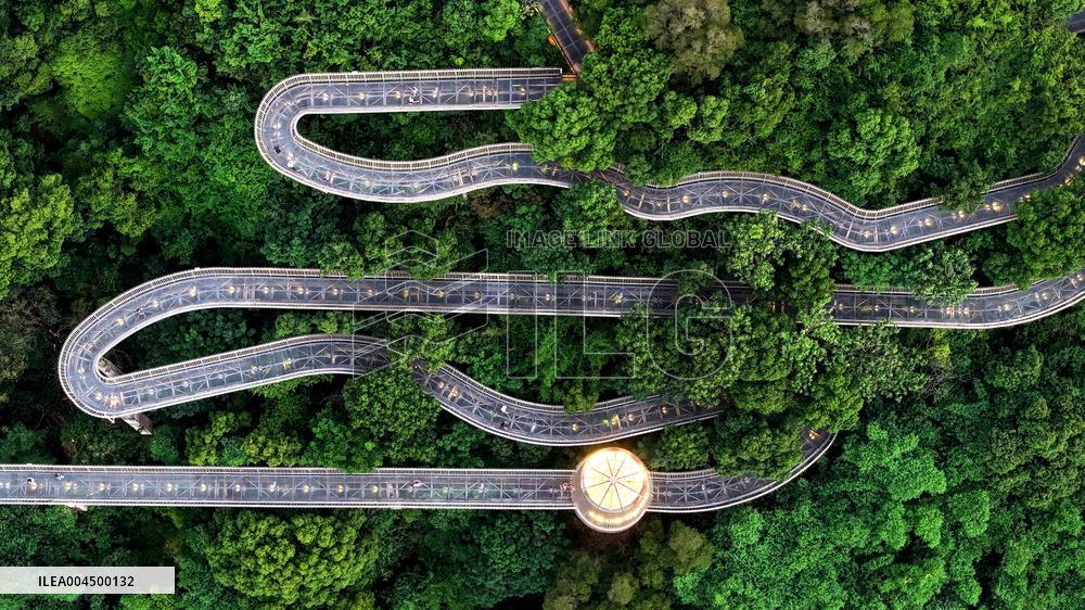 Mountain Trails in Fuzhou