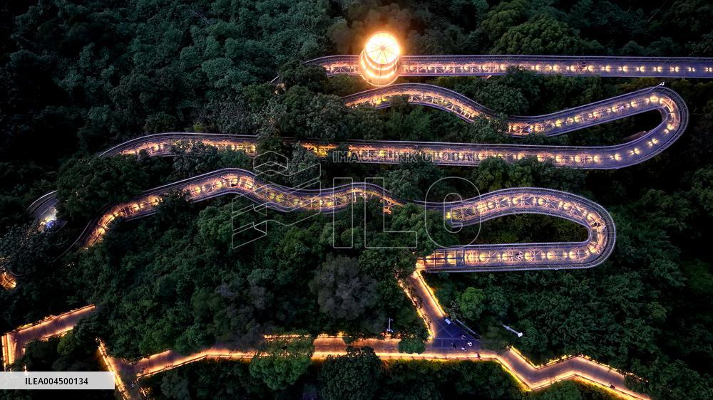 Mountain Trails in Fuzhou