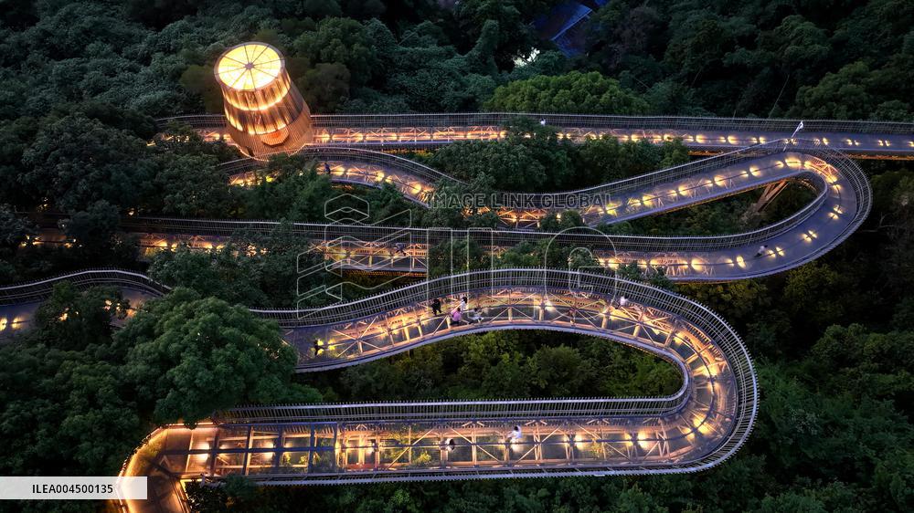 Mountain Trails in Fuzhou