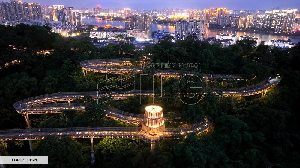 Mountain Trails in Fuzhou