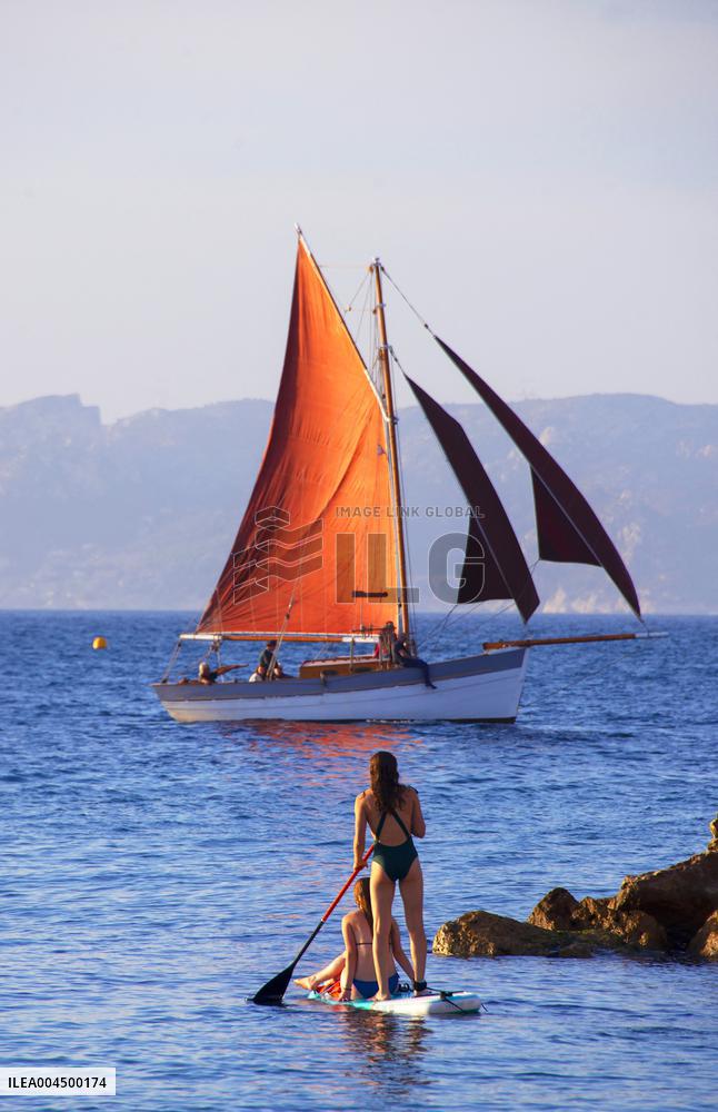 Illustration - Summer Activities