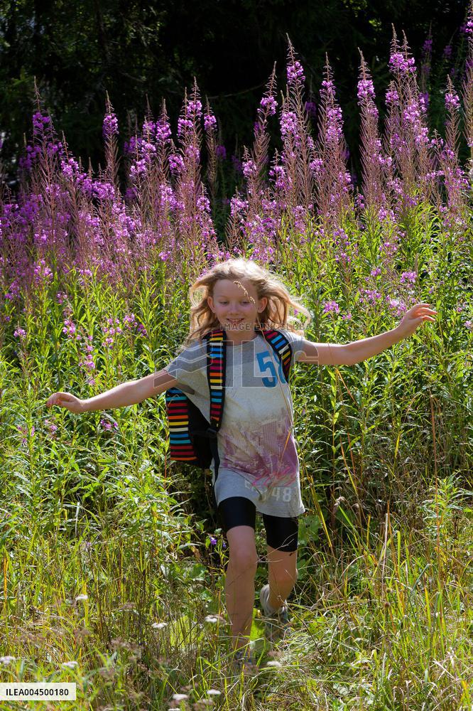 Illustration - Summer Activities