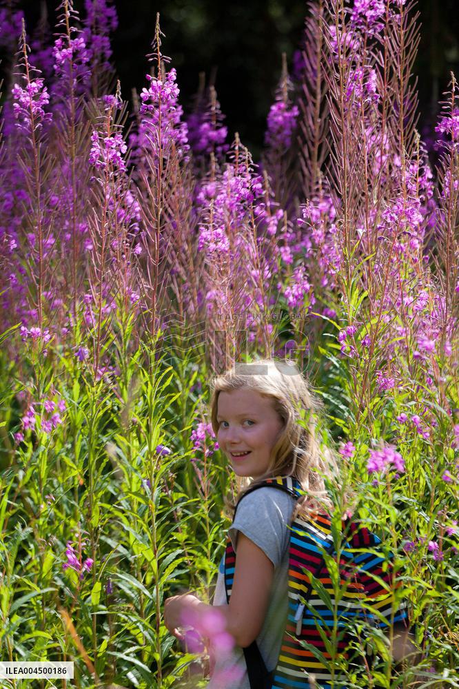 Illustration - Summer Activities