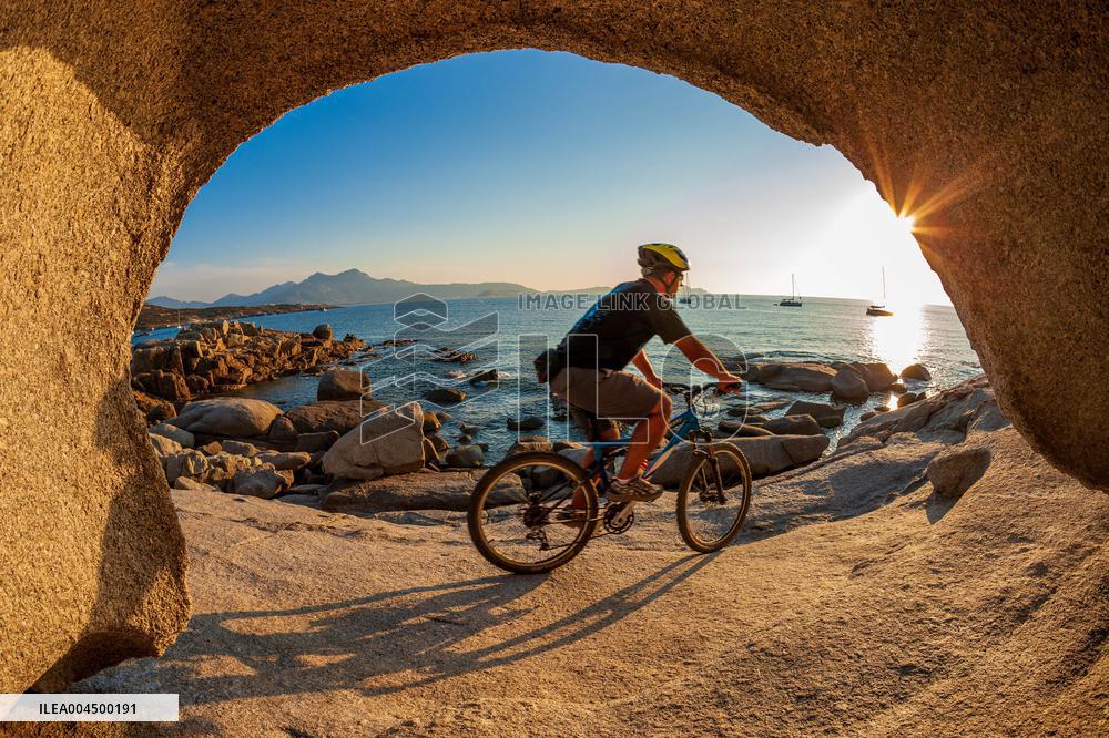 Illustration - Summer Activities