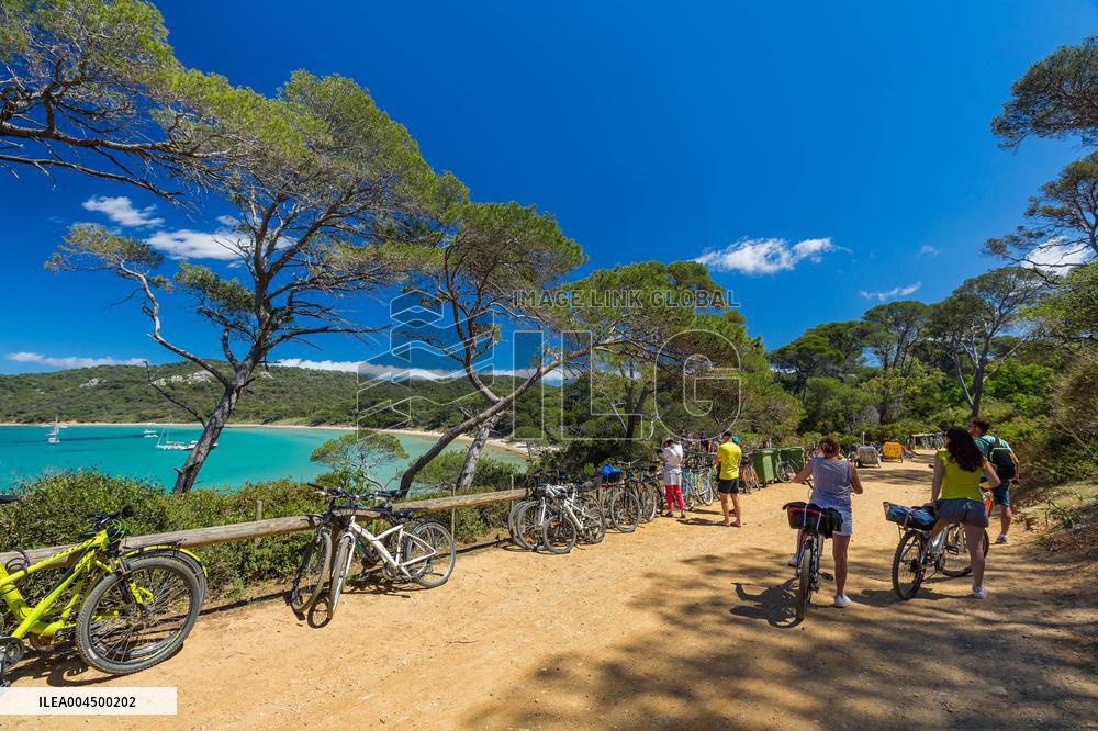 Illustration - Summer Activities