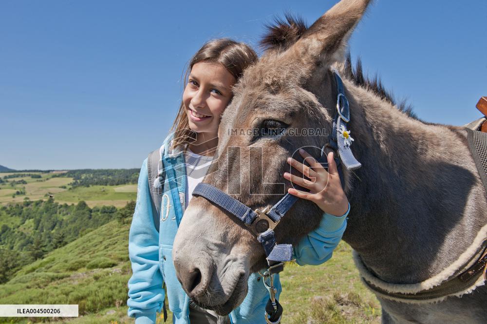 Illustration - Summer Activities