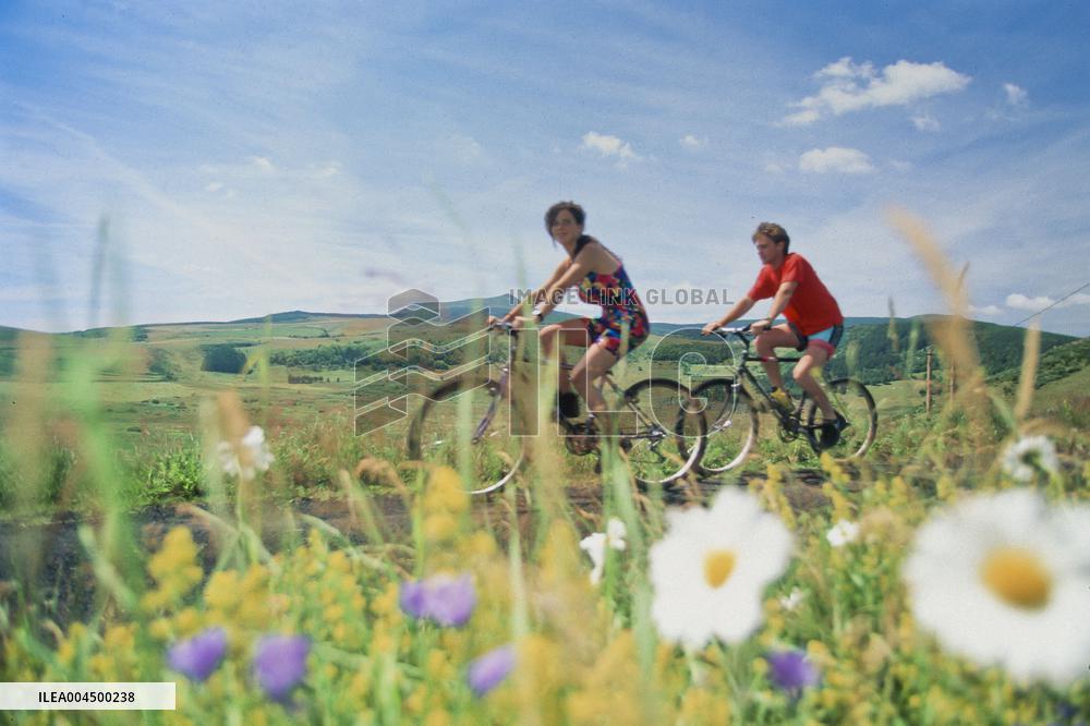 Illustration - Summer Activities