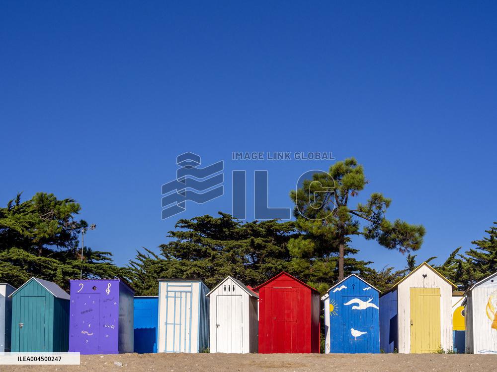 Illustration - Summer Activities