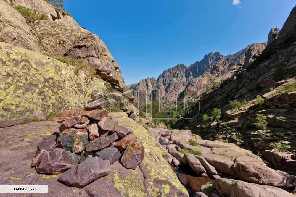 Illustration - Summer Activities