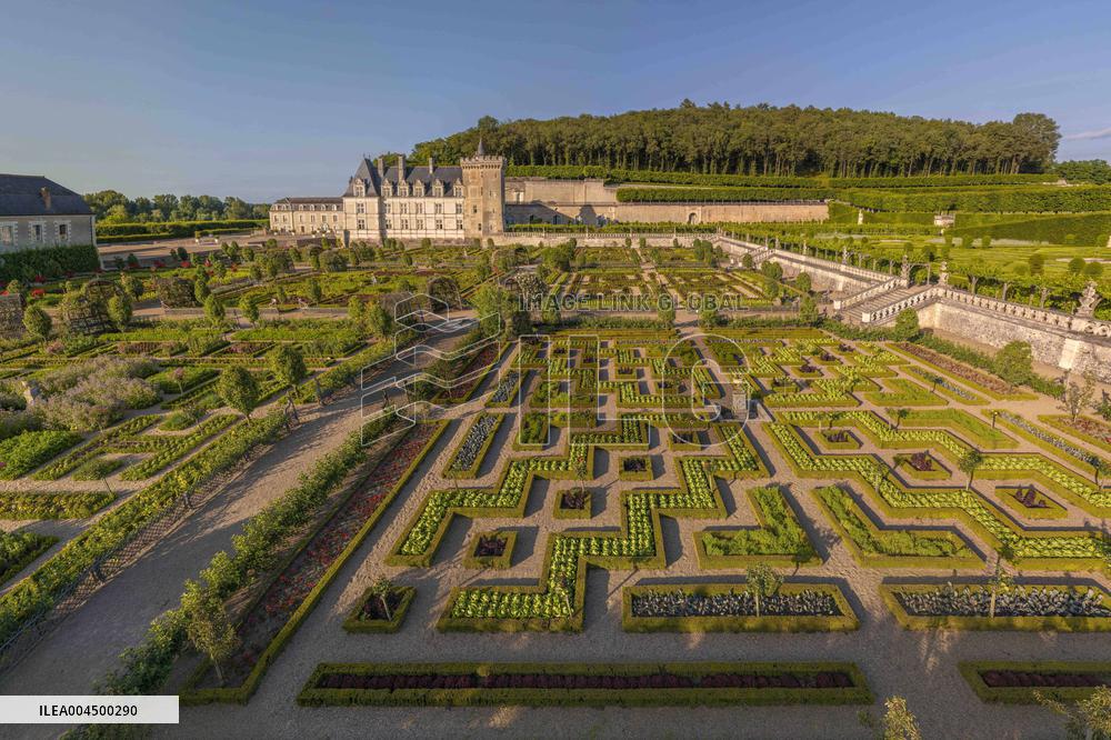 Illustration - Loire Valley