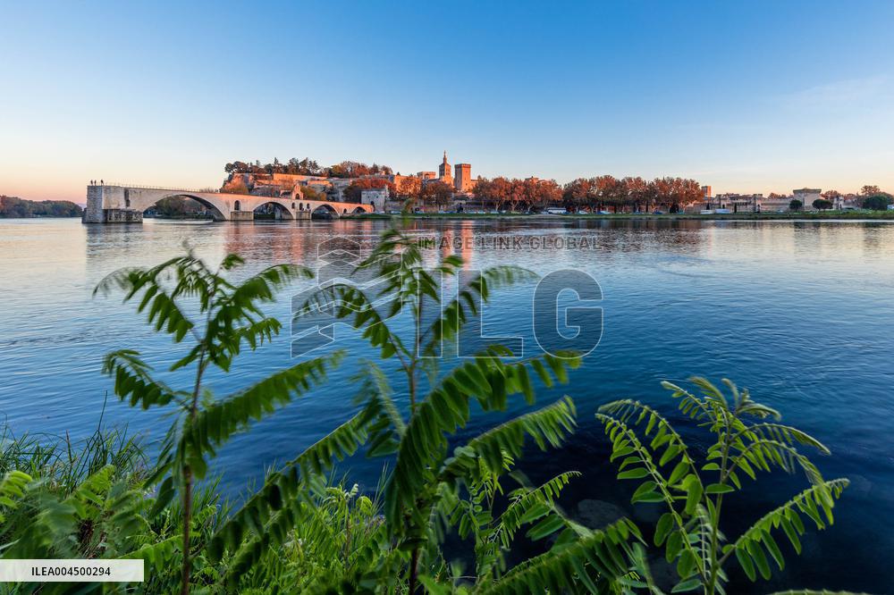 Illustration - Avignon