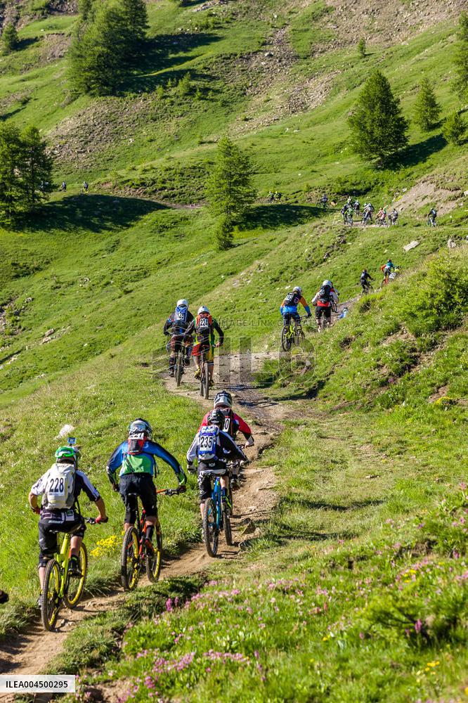 Illustration - Summer Activities