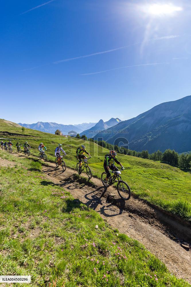 Illustration - Summer Activities