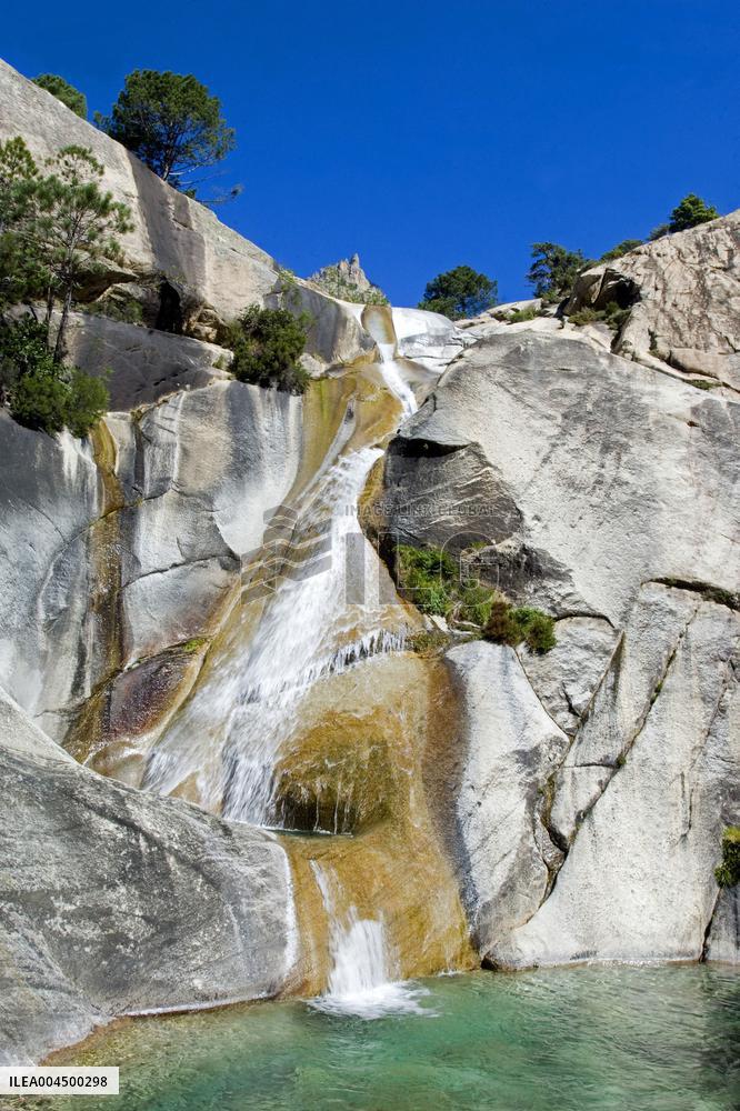 Illustration - Summer Activities