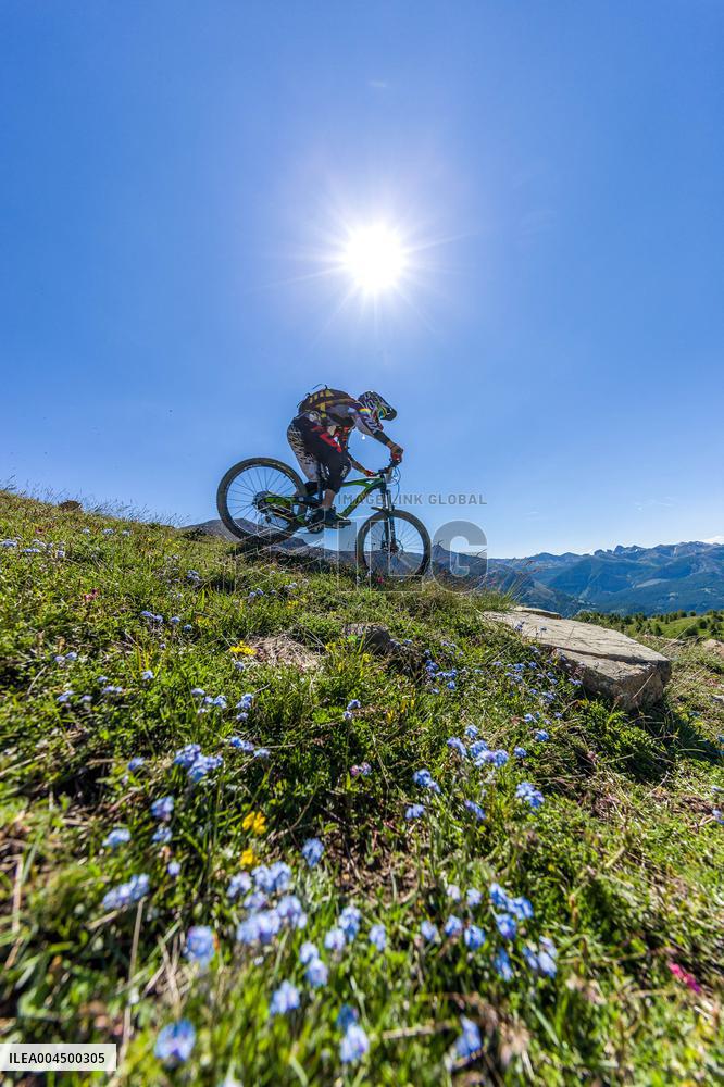 Illustration - Summer Activities