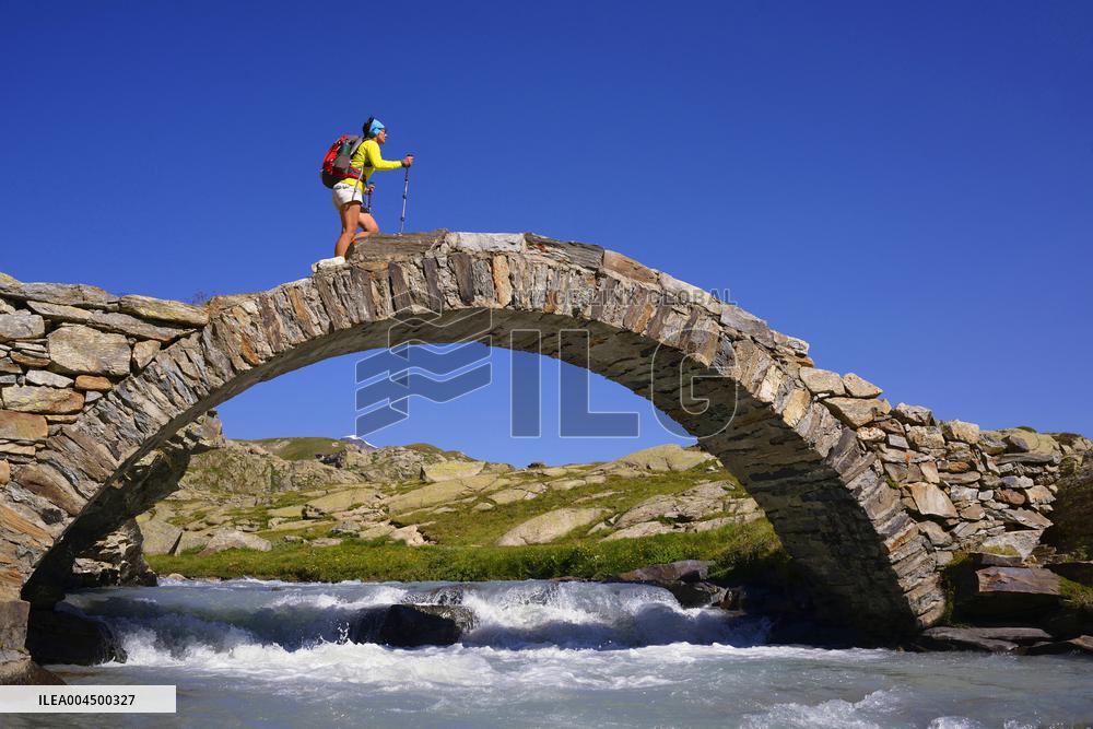 Illustration - Summer Activities