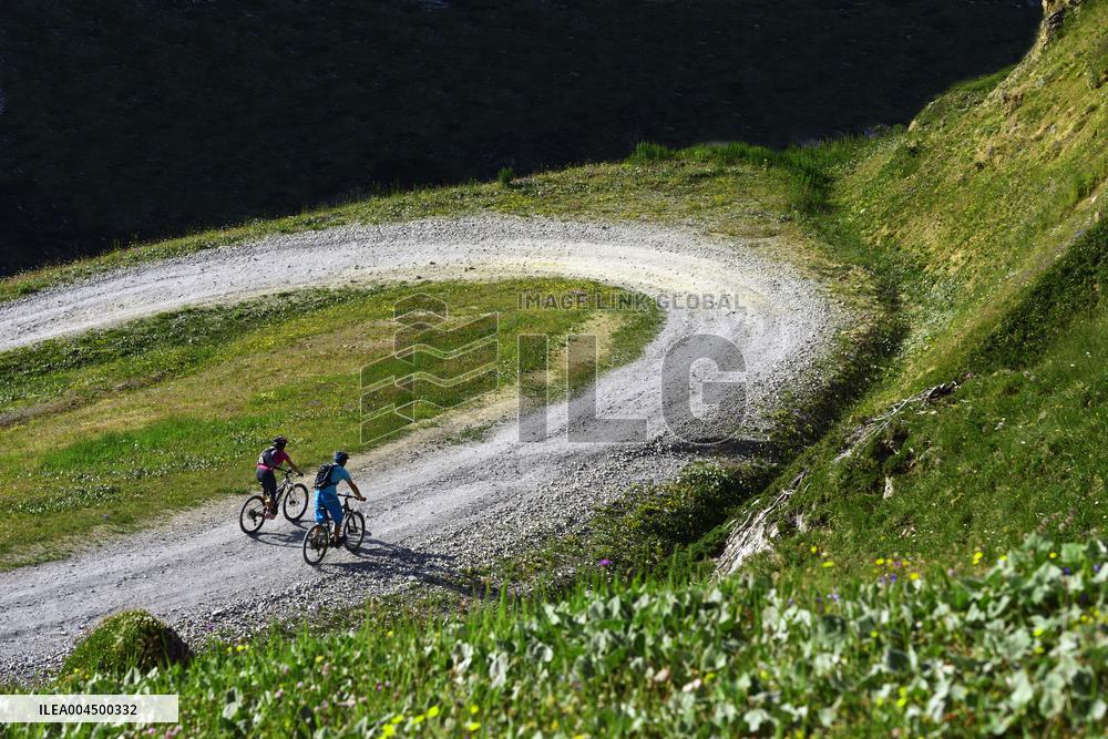 Illustration - Summer Activities