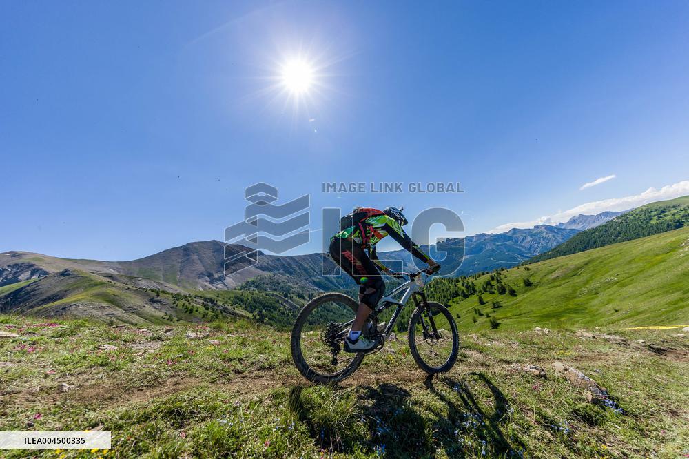 Illustration - Summer Activities