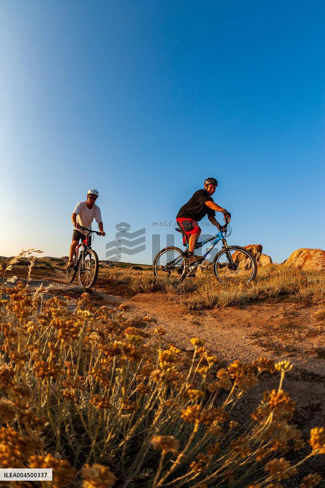 Illustration - Summer Activities