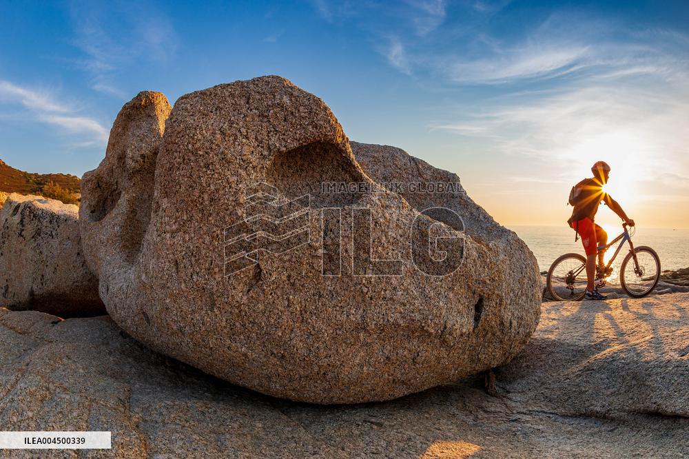 Illustration - Summer Activities