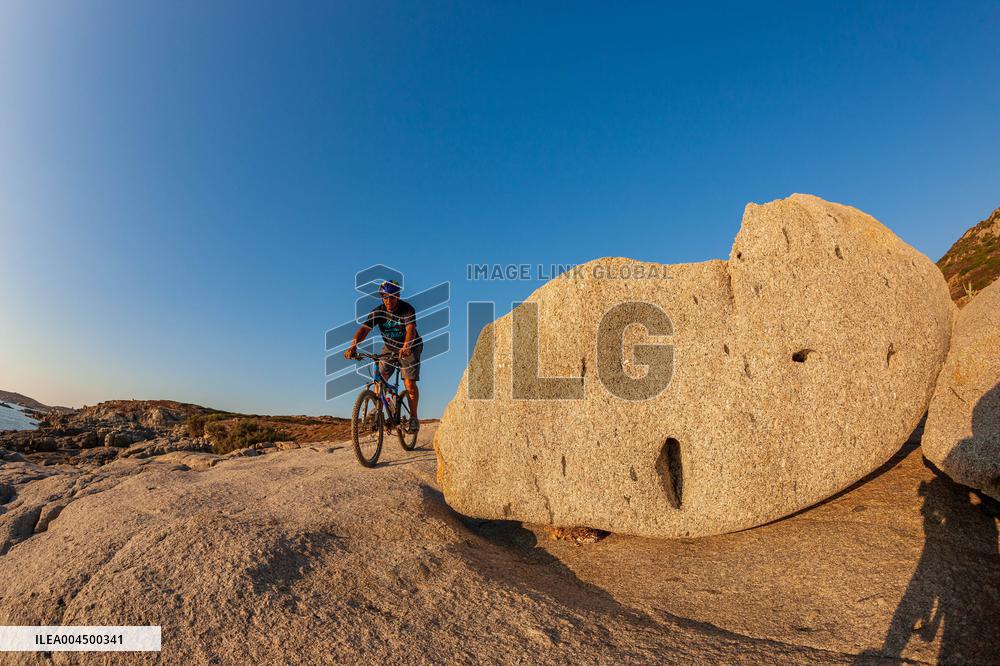 Illustration - Summer Activities