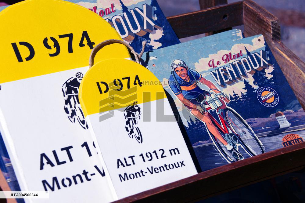 Illustration - Summer Activities