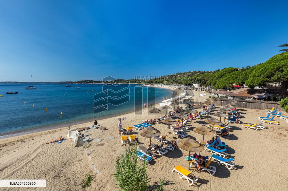 Illustration - Summer Activities