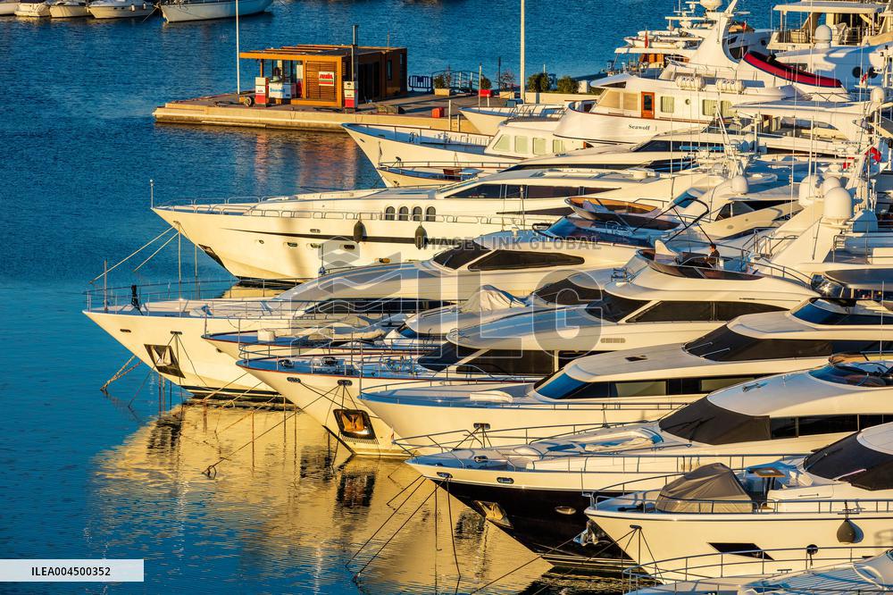 Illustration - Summer Activities