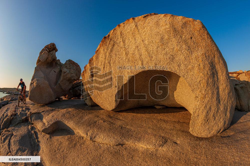 Illustration - Summer Activities