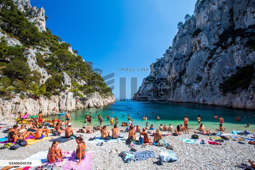 Illustration - Summer Activities