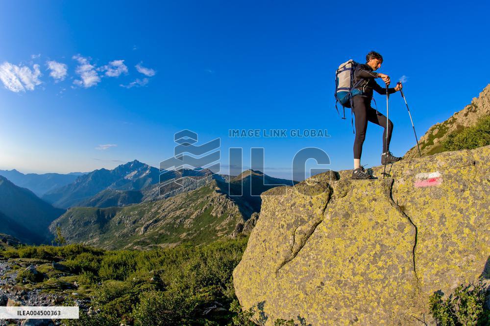 Illustration - Summer Activities