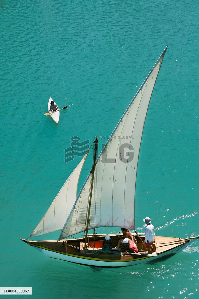 Illustration - Summer Activities