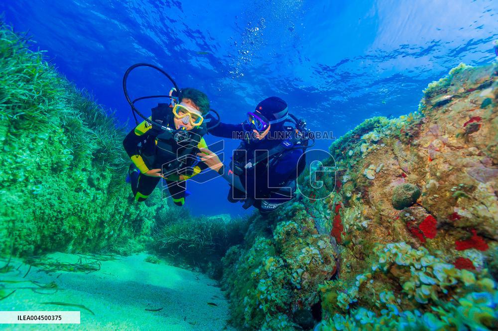 Illustration - Summer Activities