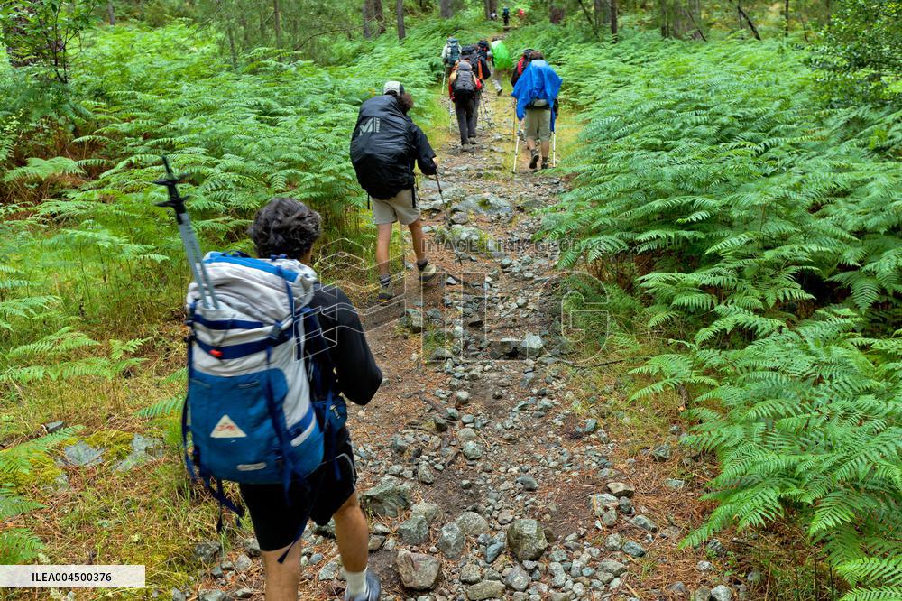 Illustration - Summer Activities