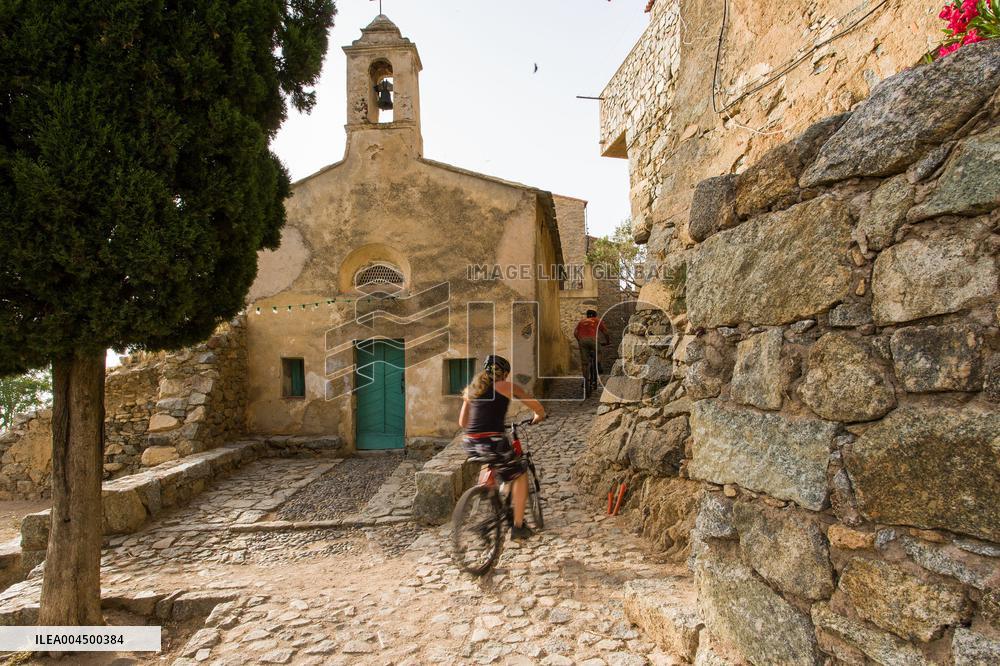 Illustration - Summer Activities