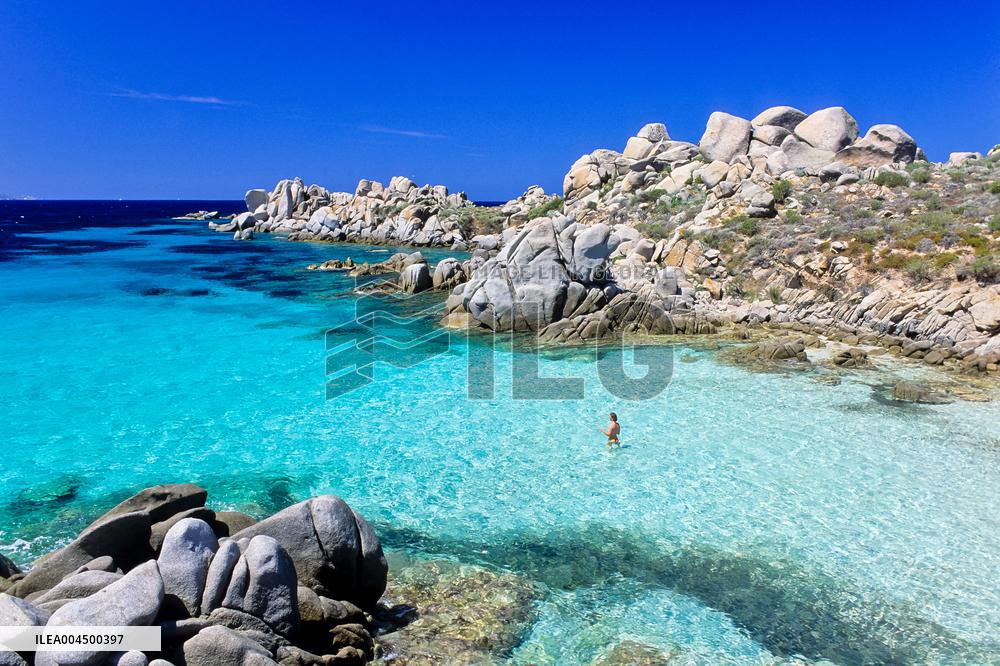 Illustration - Summer Activities