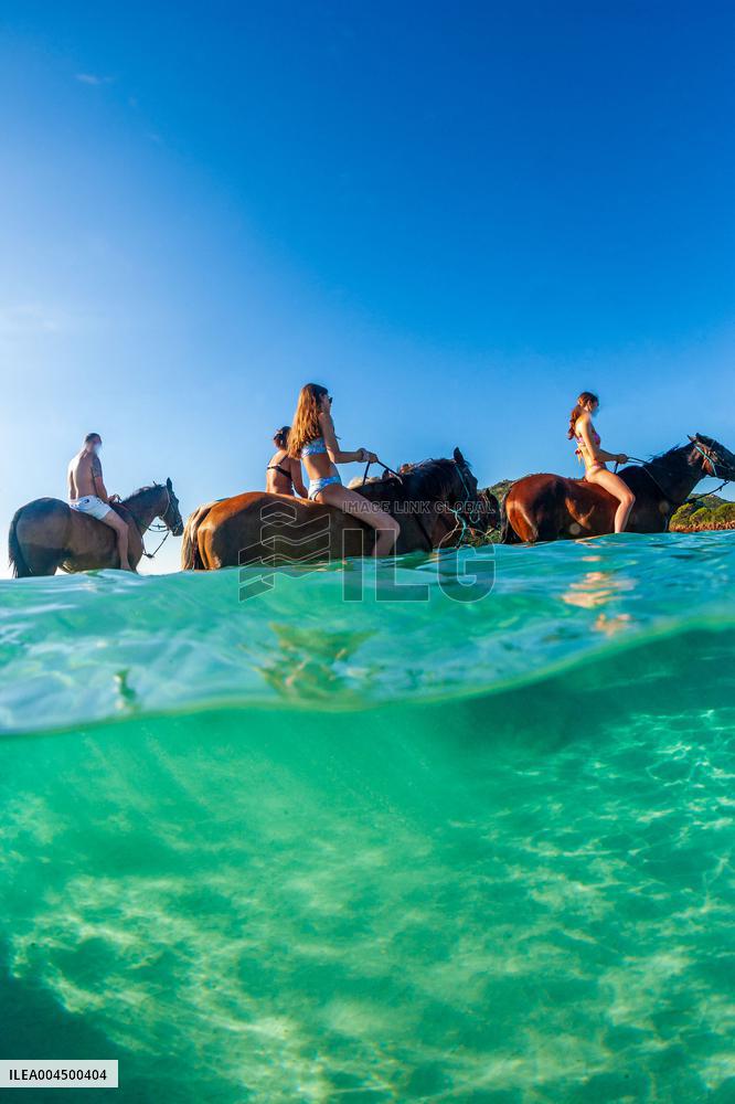 Illustration - Summer Activities