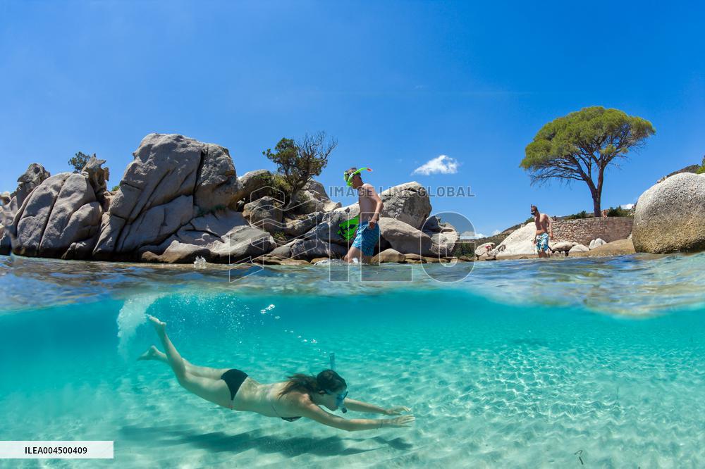 Illustration - Summer Activities