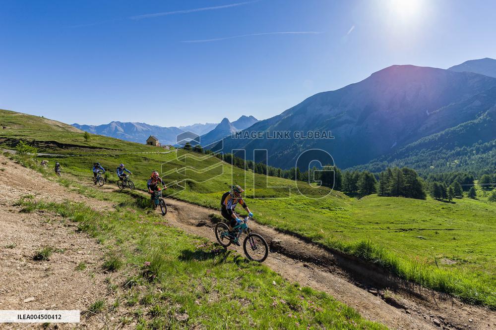 Illustration - Summer Activities