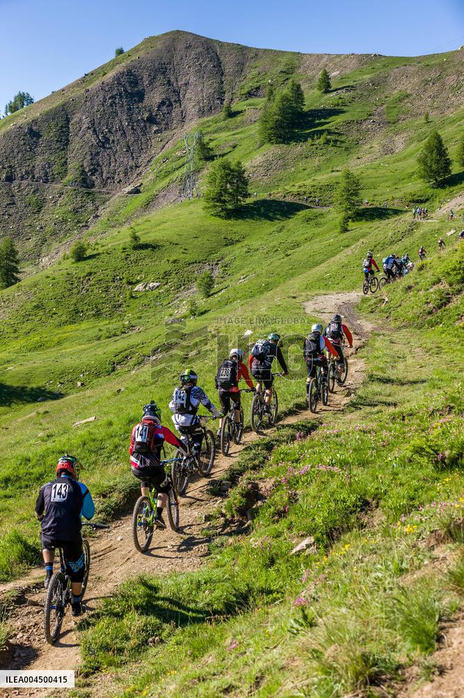 Illustration - Summer Activities