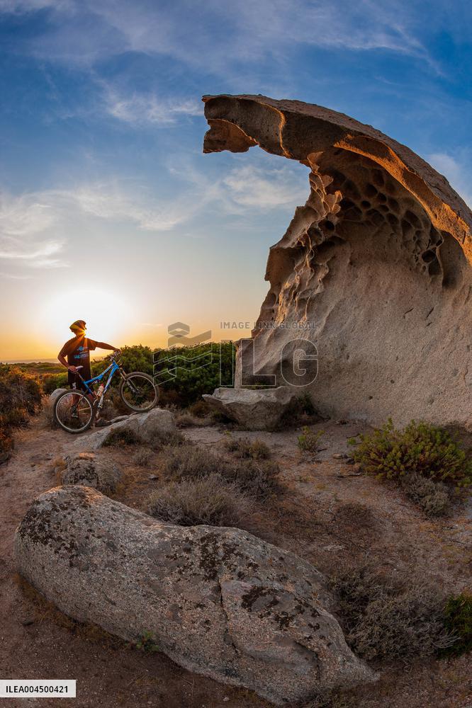 Illustration - Summer Activities