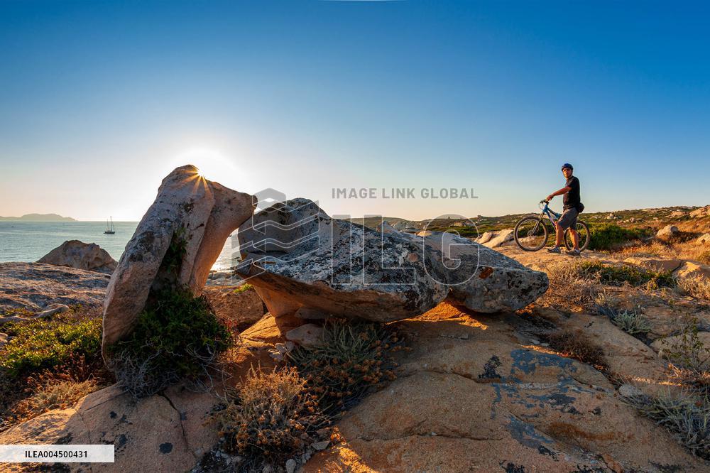 Illustration - Summer Activities