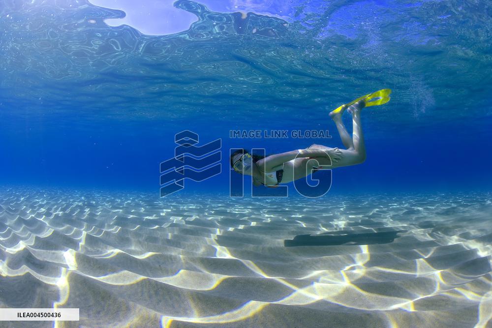 Illustration - Summer Activities