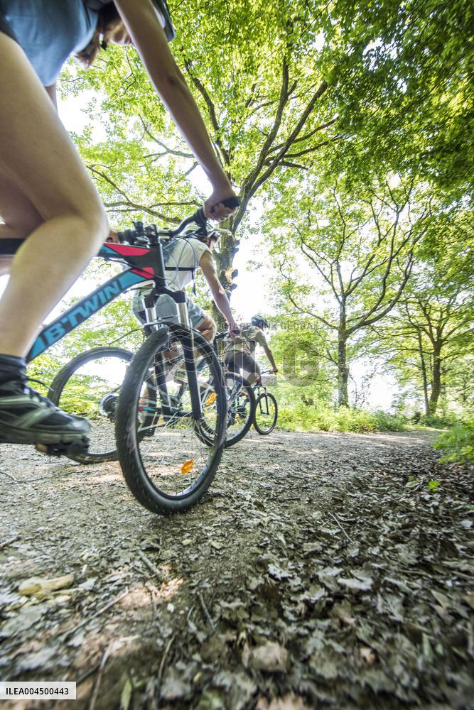 Illustration - Summer Activities