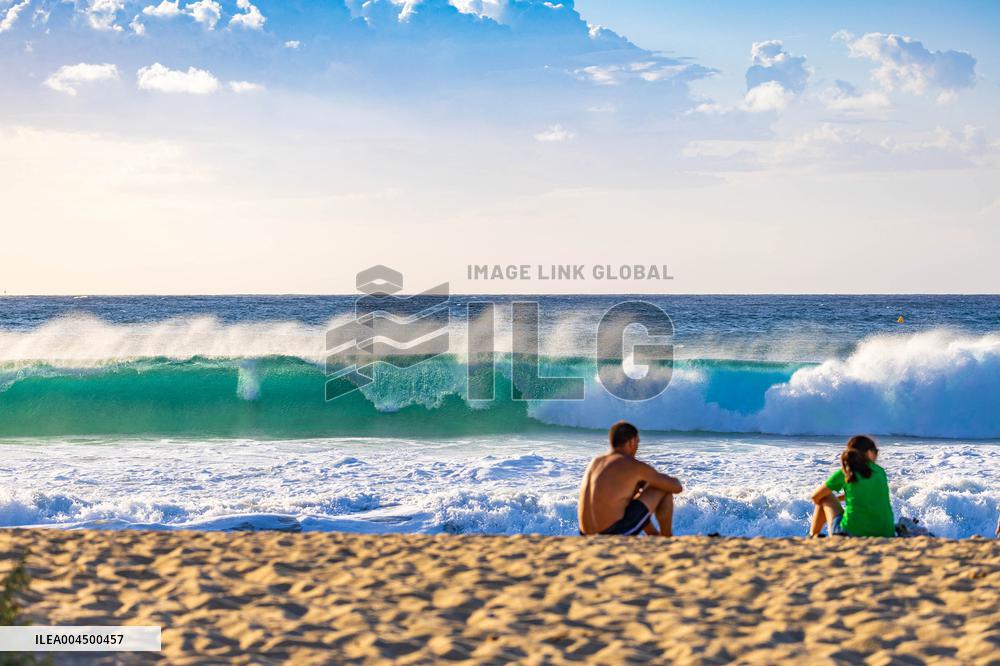 Illustration - Summer Activities