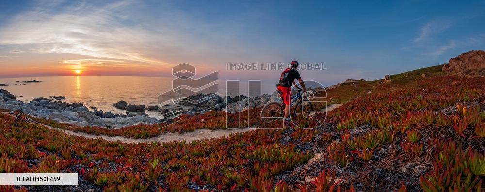 Illustration - Summer Activities