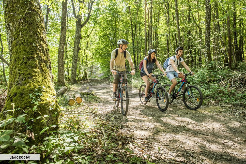 Illustration - Summer Activities