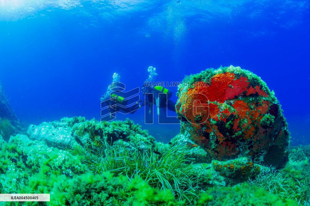 Illustration - Summer Activities