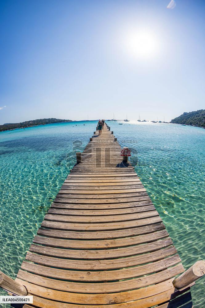 Illustration - Summer Activities